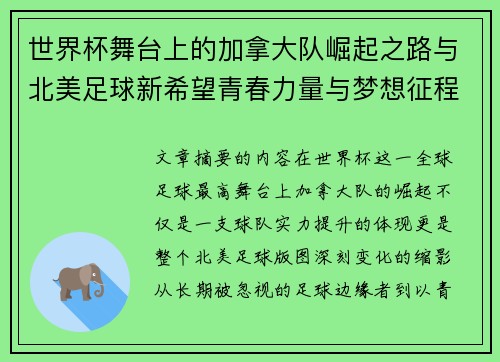 世界杯舞台上的加拿大队崛起之路与北美足球新希望青春力量与梦想征程